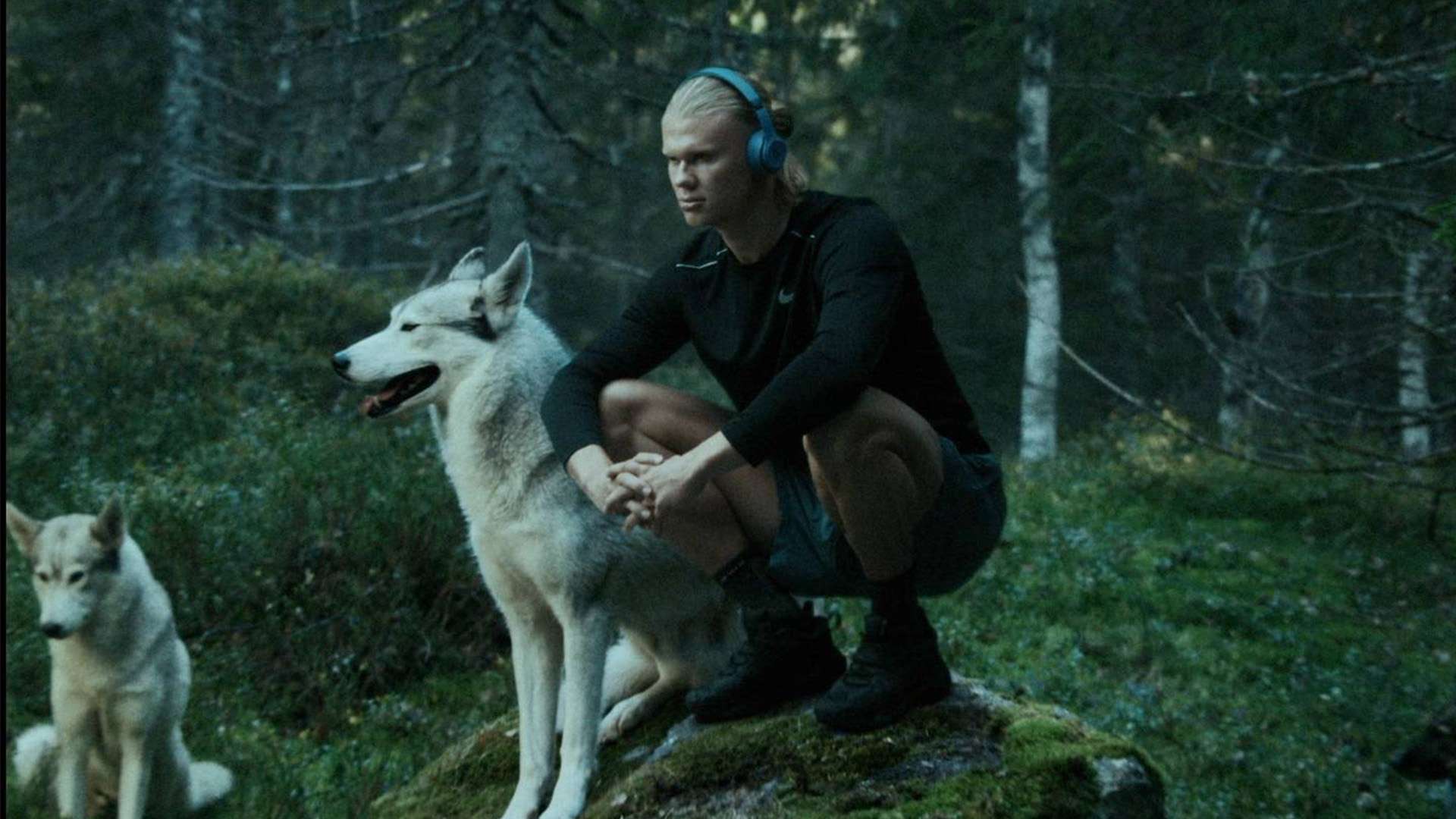 在比赛中的 在比赛中的